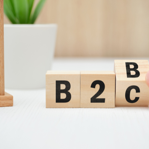 How does marketplace consultancy differ for B2B versus B2C businesses?